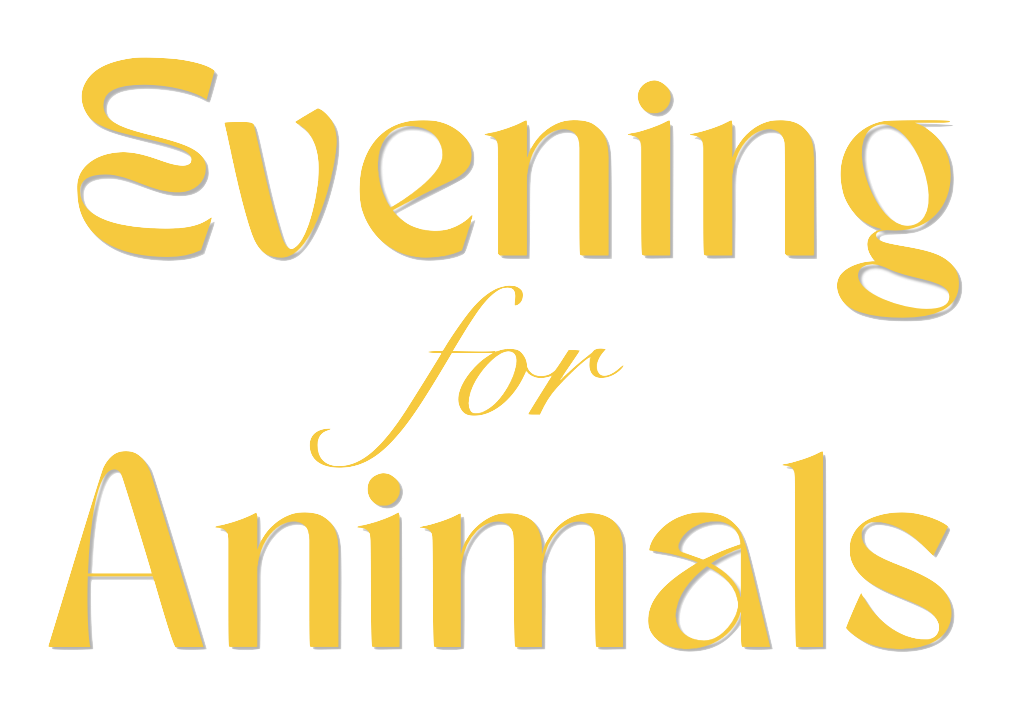 Evening for Animals